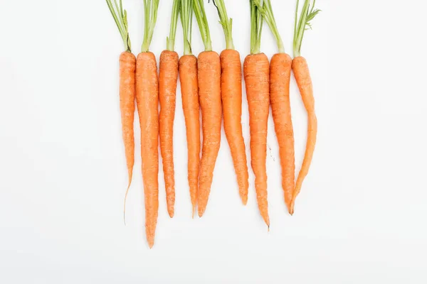 Whole Fresh Ripe Raw Carrots Arranged Tight Row Isolated White — Stock Photo, Image