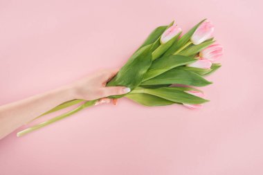 Kırpılan görünümünü el ile pink izole bahar laleler