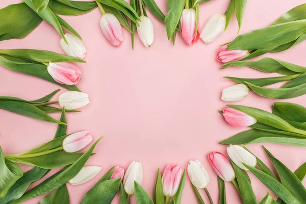 Ansicht Von Oben Frühlingsrahmen Mit Tulpenblüten Isoliert Auf Rosa — Stockfoto