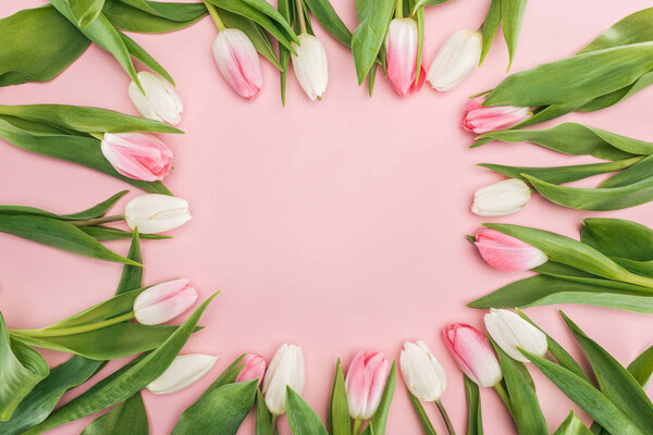 top view of spring frame with tulip flowers isolated on pink