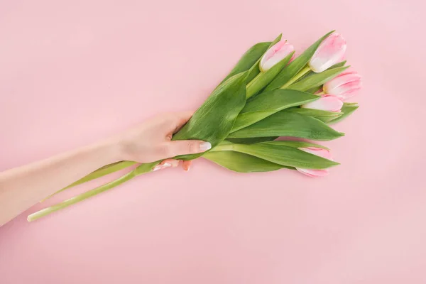 Vista Recortada Mano Femenina Con Tulipanes Primavera Aislados Rosa — Foto de Stock