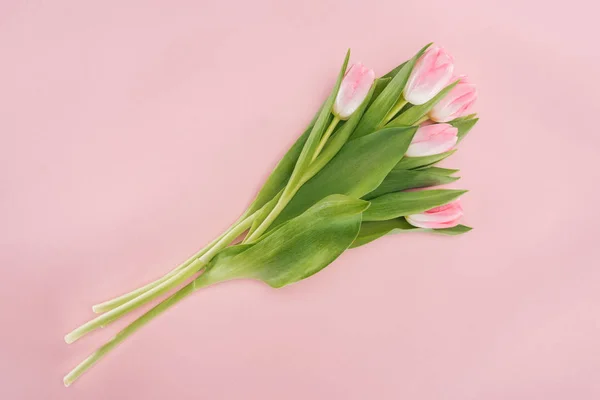 Vista Superior Del Ramo Con Tulipanes Primavera Aislados Rosa — Foto de Stock