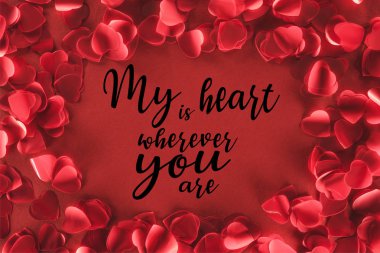 top view of decorative heart shaped petals on red background with 