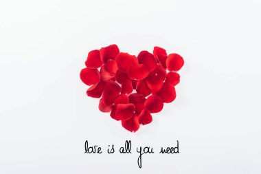 top view of heart made of red rose petals isolated on white, st valentines day concept with 