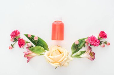 Beyaz arka plan üzerinde kompozisyon alstroemeria, gül, çilek ve portakal losyon şişeyle üstten görünüm