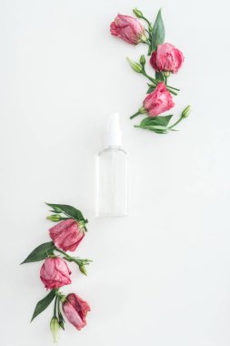 top view of pink eustoma and empty spray bottle on white background clipart