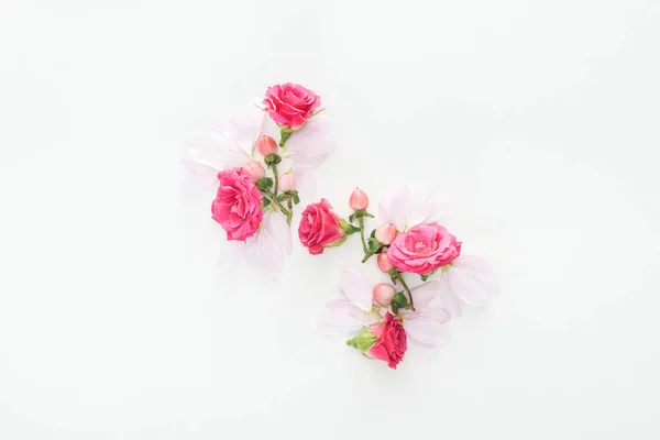 Vista Superior Composição Com Botões Rosas Bagas Pétalas Fundo Branco — Fotografia de Stock