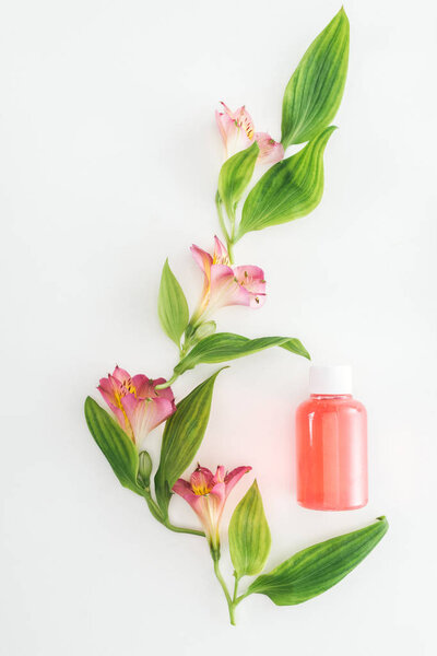 top view of composition with pink alstroemeria flowers, green leaves and bottle with orange lotion on white background