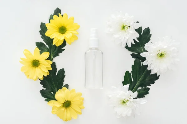 Top View Compositions Chrysanthemums Empty Spray Bottle White Background — Stock Photo, Image