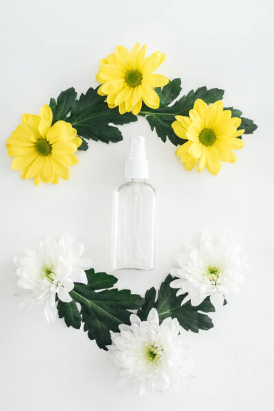 top view of empty spray bottle, white and yellow chrysanthemums on white background