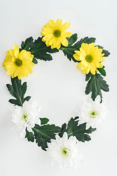 Vue Dessus Composition Avec Des Chrysanthèmes Blancs Jaunes Sur Fond — Photo