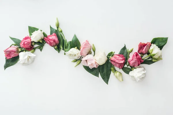 Draufsicht Der Komposition Mit Weißem Und Rosa Eustoma Auf Weißem — Stockfoto