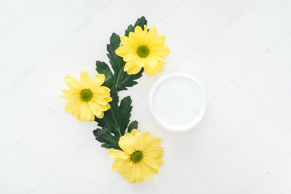 top view of composition with yellow chrysanthemums and beauty cream in bottle on white background