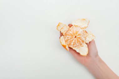 cropped view of woman holding ripe orange tangerine with peel on white background clipart