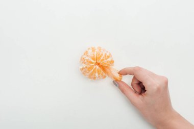 cropped view of woman holding tangerine slice on white background clipart