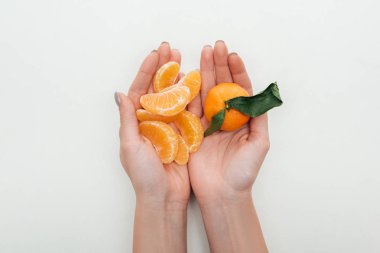 cropped view of woman holding peeled tangerine slices and whole tangerine on white background clipart