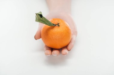 cropped view of woman holding ripe whole unpeeled tangerine with leaf on white background clipart