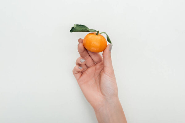 cropped view of woman holding tangerine with green leaves on white background