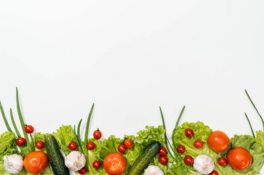 Üstten Görünüm domates marul yaprakları, salatalık, soğan ve sarımsak 