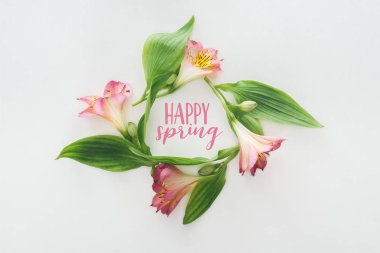 çelenk pembe alstroemeria çiçek ve mutlu bahar resimde beyaz zemin üzerine yeşil yaprakları ile Üstten Görünüm