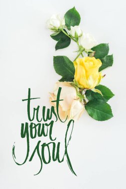 top view of roses composition on white background with trust your soul lettering clipart