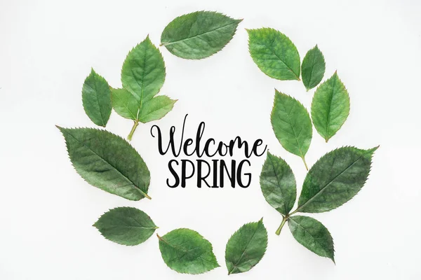 top view of circular composition with green leaves with black welcome spring lettering on white background