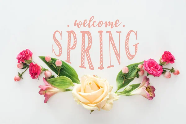 Draufsicht Auf Rosen Und Alstroemeria Blumen Komposition Auf Weißem Hintergrund — Stockfoto