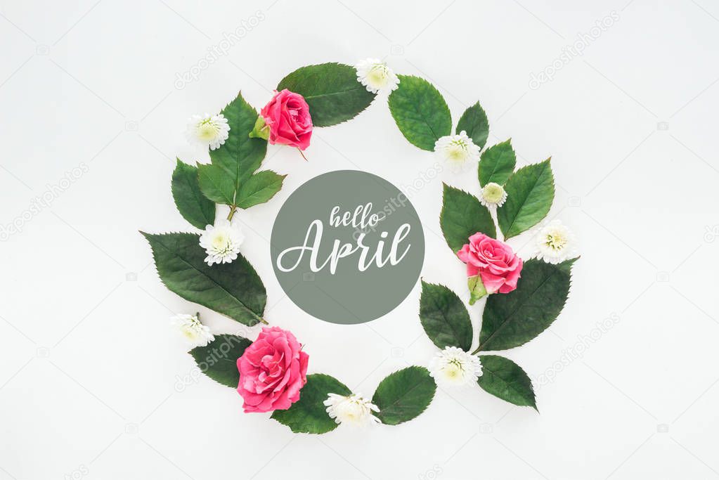 top view of circular composition with green leaves, roses and chrysanthemums on white background with hello april illustration