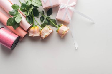 pembe Gül, gri arka plan üzerinde kağıt ve ipek kurdele ile sarılmış hediyeler rulo Üstten Görünüm 