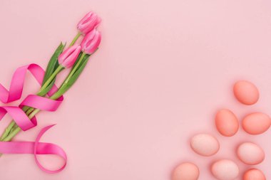 Pembe Lale çiçek ve pink izole geleneksel Paskalya yumurtaları Üstten Görünüm