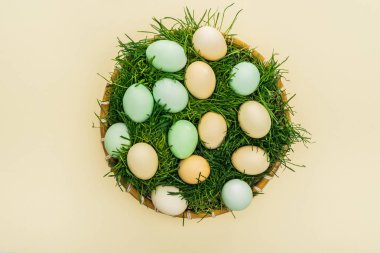 hasır plaka ile çim izole sarı pastel Paskalya yumurtaları
