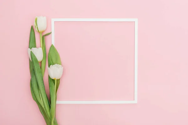 stock image empty frame with white tulip flowers isolated on pink