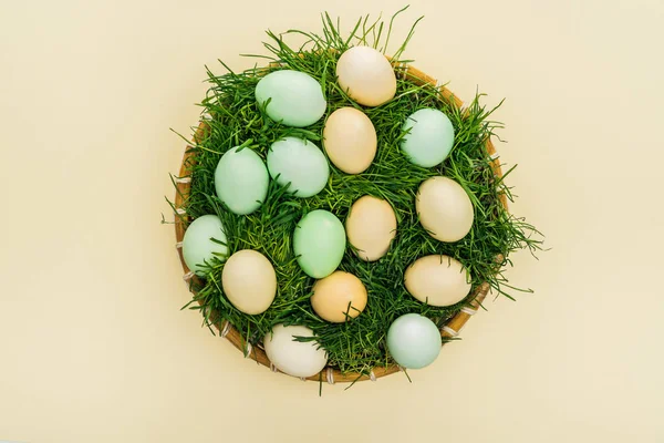 Пастельні Великодні Яйця Плетеній Тарілці Травою Ізольовані Жовтому — стокове фото