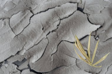selective focus of dry plant on barren surface, global warming concept clipart