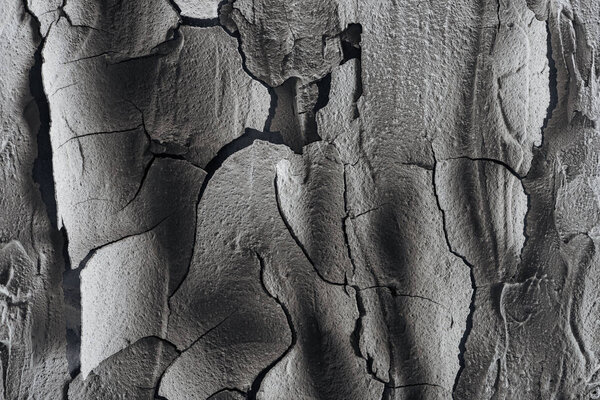 cracked barren land surface, global warming concept