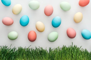 pastel boyalı Paskalya yumurta Grey ile çim izole Üstten Görünüm