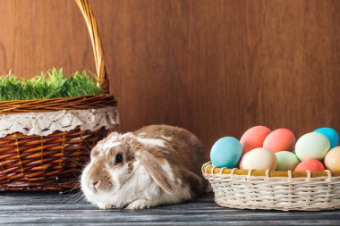 sevimli tavşan sepet ile bahar çimen ve ahşap tablo easter yumurta bir kase