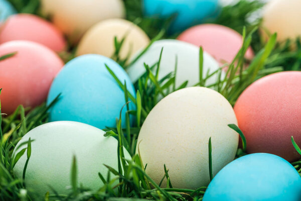 close up of traditional colorful easter eggs on green grass