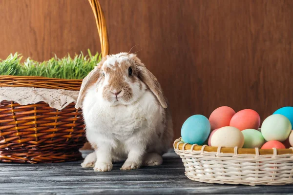 Sevimli Tavşan Çim Ile Hasır Sepet Ahşap Tablo Easter Yumurta — Stok fotoğraf