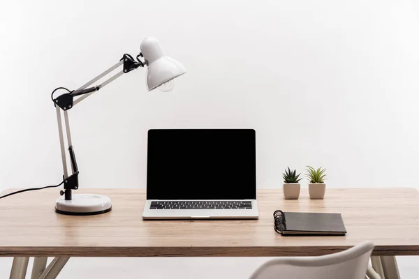 Moderne Werkplaats Met Laptop Met Leeg Scherm Planten Lamp Notebook — Stockfoto