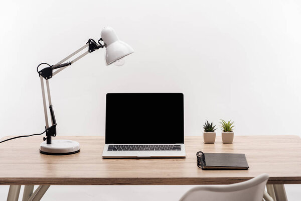 modern workplace with laptop with blank screen, plants, lamp and notebook isolated on white