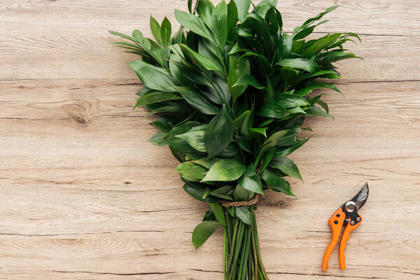 Top view of green bouquet and pruning shears on wooden surface