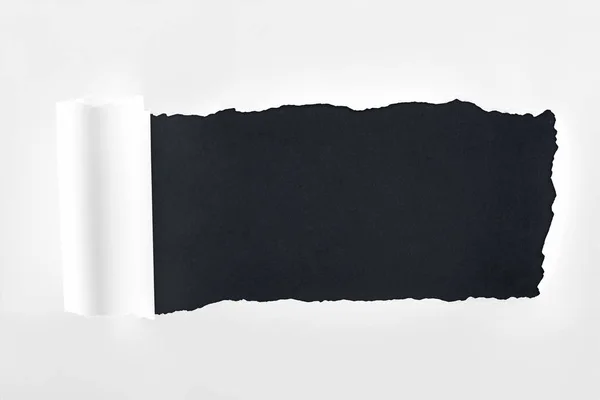 Rasgado Papel Branco Texturizado Com Borda Rolada Sobre Fundo Preto — Fotografia de Stock