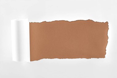tattered white paper with rolled edge on brown background 