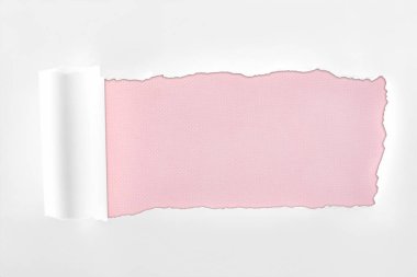 pembe arka planda haddelenmiş kenar ile düzensiz dokulu beyaz kağıt 