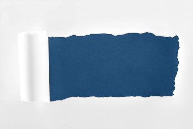 ragged textured white paper with rolled edge on dark blue background  clipart