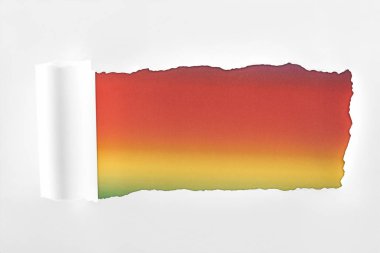 textured white paper with rolled edge on multicolored background 