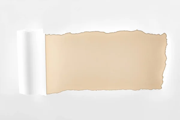 Papel Branco Texturizado Esfarrapado Com Borda Rolada Fundo Bege — Fotografia de Stock