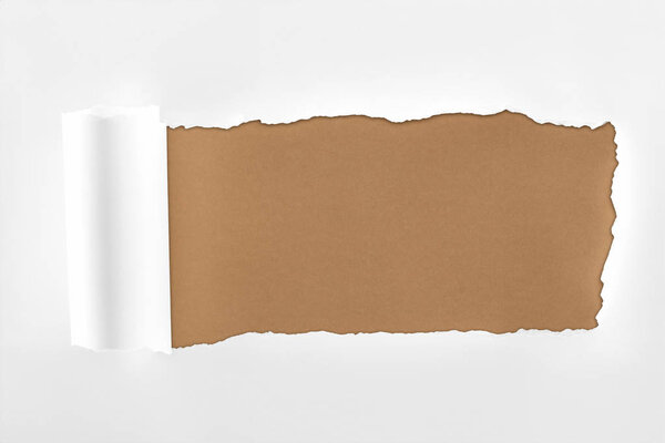 tattered textured white paper with rolled edge on brown background 