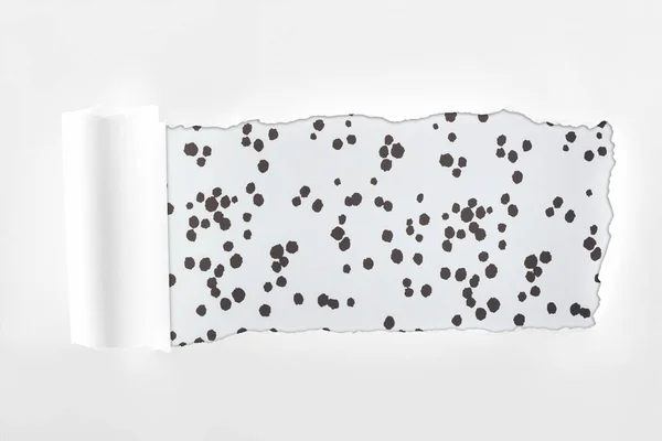 Ragged Textured White Paper Rolled Edge Black White Dotted Background — Stock Photo, Image